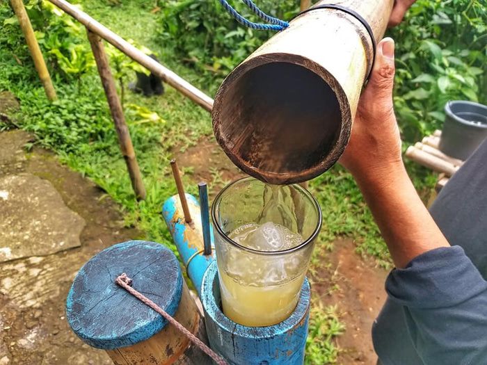 Manfaat air nira bagi keheatan