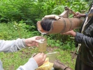 Manfaat air nira bagi kesehatan tubuh.