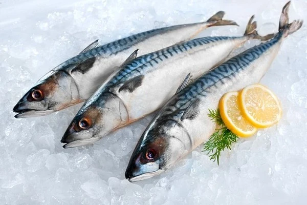 Ada Beberapa Jenis Ikan Yang Memiliki Paling Kaya Manfaat Dan Gizi